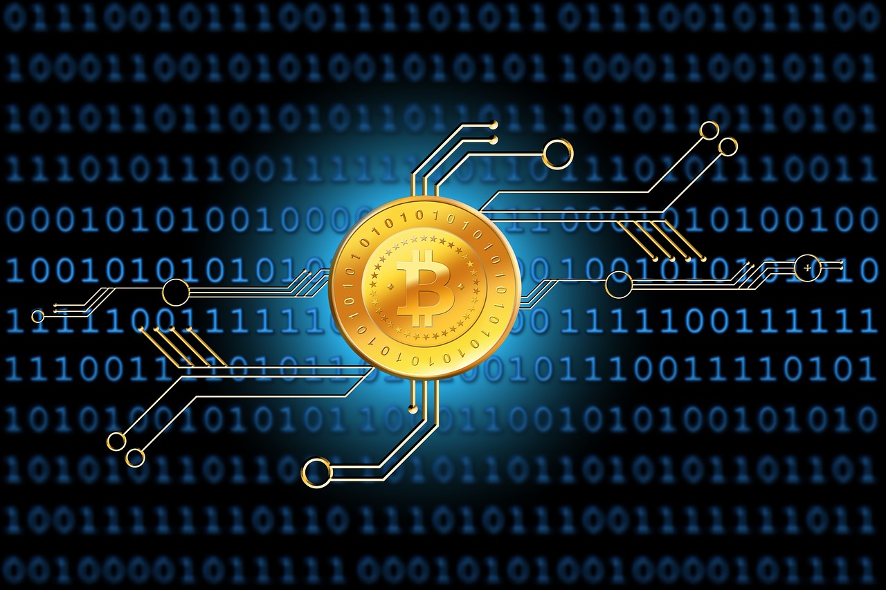 最新BT合集，探索数字世界的宝藏珍宝