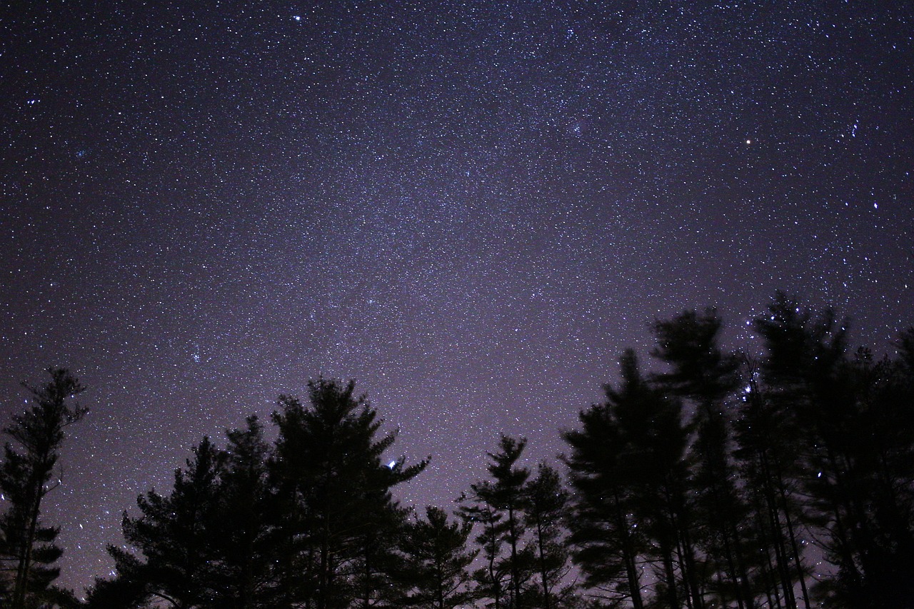 一九七一年璀璨星辰，传奇明星的闪耀时刻