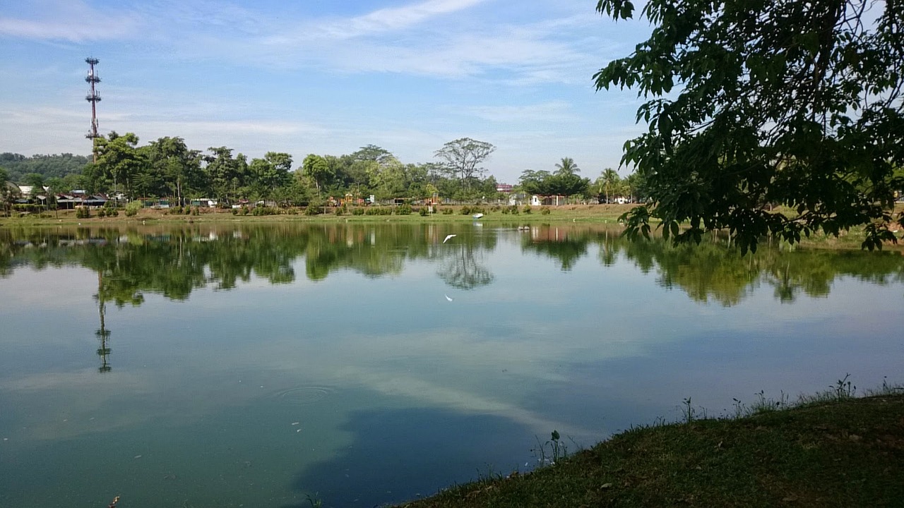 汕头市最新资讯概览，全面解读汕头市最新动态