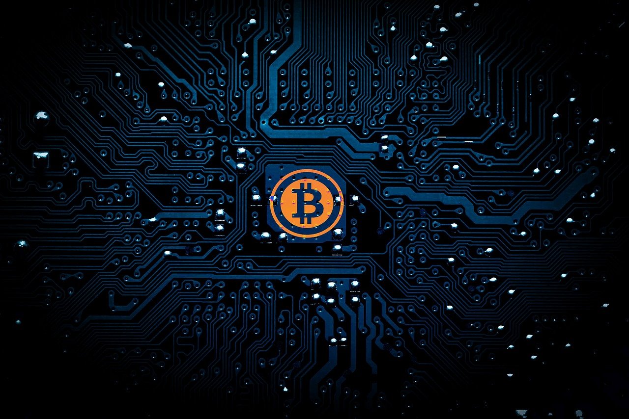2025年1月 第144页